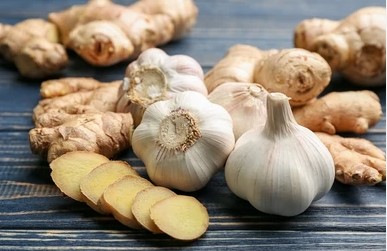 fresh-vegetables/fresh-vegetables-3.jpg