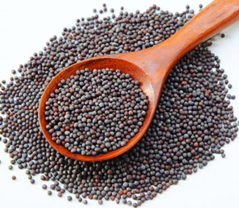 DEEP Mustard Seeds 400g